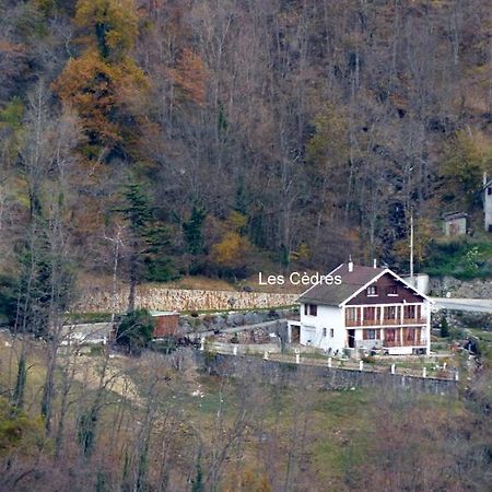 Les Cedres Apartment Ax-les-Thermes Bagian luar foto